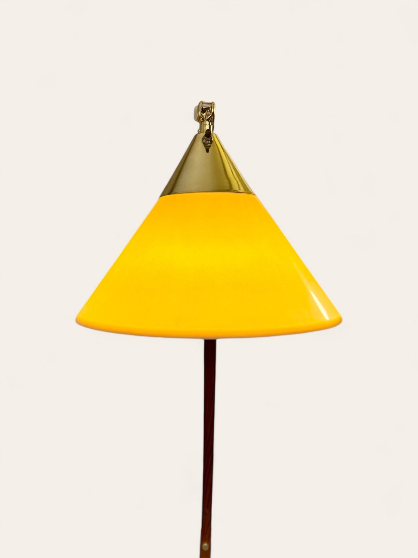 Vintage 1970s MCM Nova of California by Peter Morelli Floor Lamp with Lucite Shade - RARE!