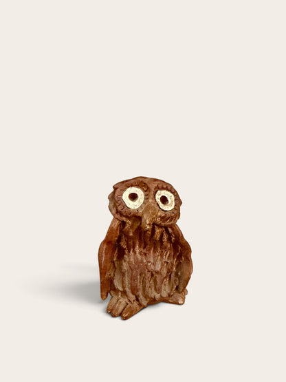 Weird little owl