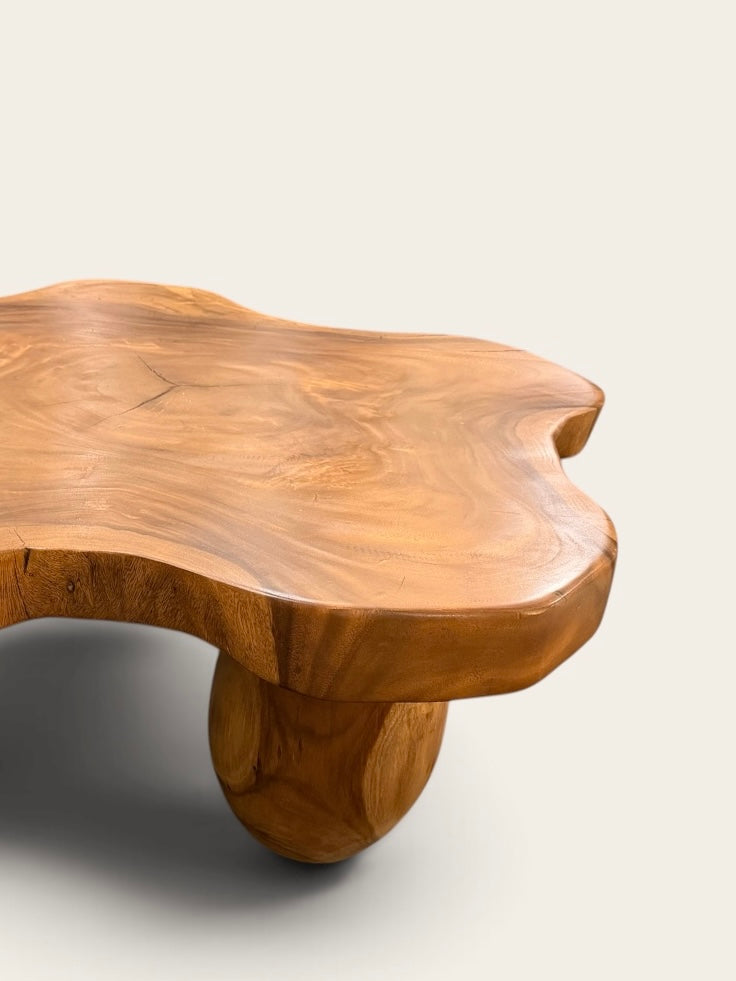 Large Organic Live Edge Solid Wood Coffee Table | Sculptural Slab | Japandi | Organic Modern